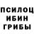 Псилоцибиновые грибы мухоморы Blookbug IV