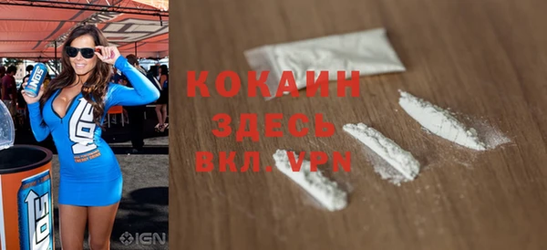 сатива Ельня