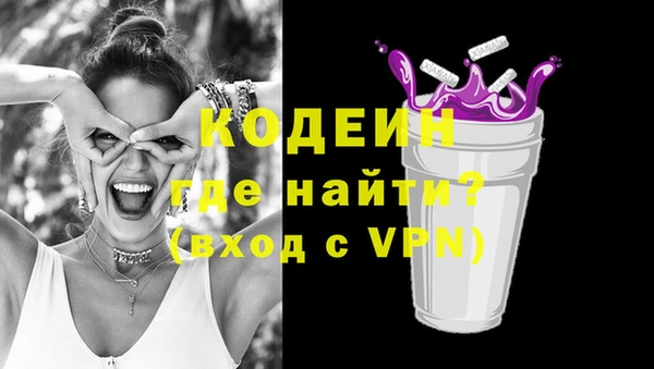 сатива Ельня