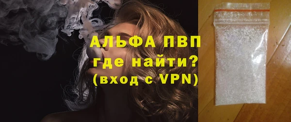 сатива Ельня
