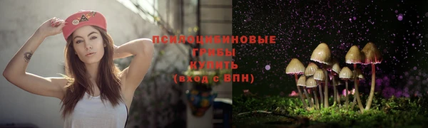 сатива Ельня