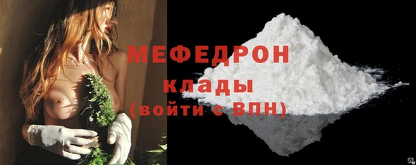 сатива Ельня