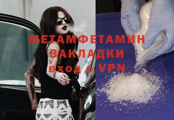 сатива Ельня