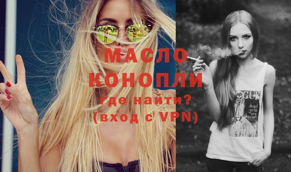 сатива Ельня