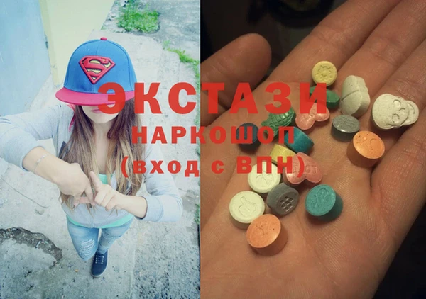 сатива Ельня
