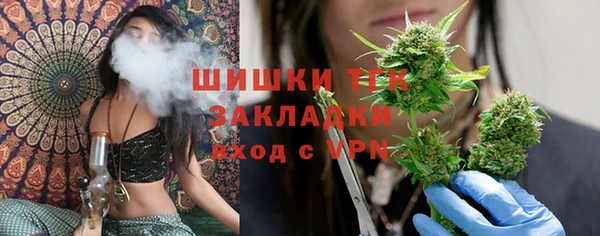 сатива Дмитриев