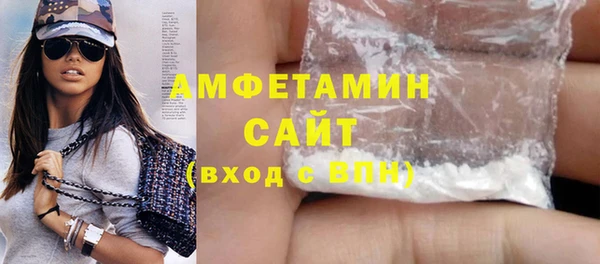 сатива Ельня