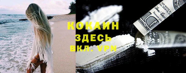 сатива Ельня