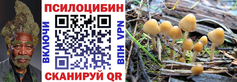 Псилоцибиновые грибы мицелий Кинель