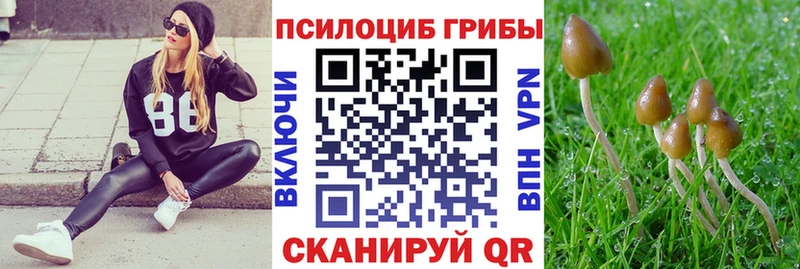 Галлюциногенные грибы Magic Shrooms  что такое наркотик  мориарти какой сайт  Кинель 